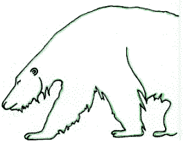 Ours polaire